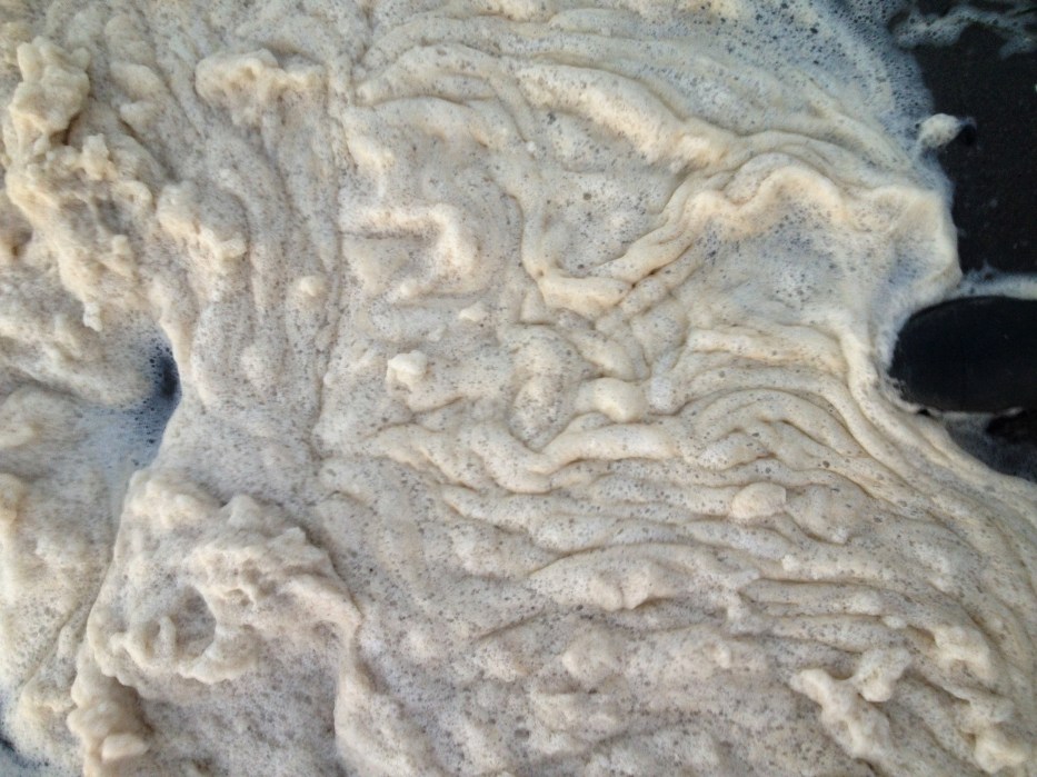 2019-01-03 website c